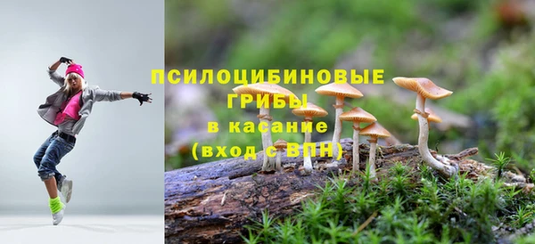 PSILOCYBIN Богданович